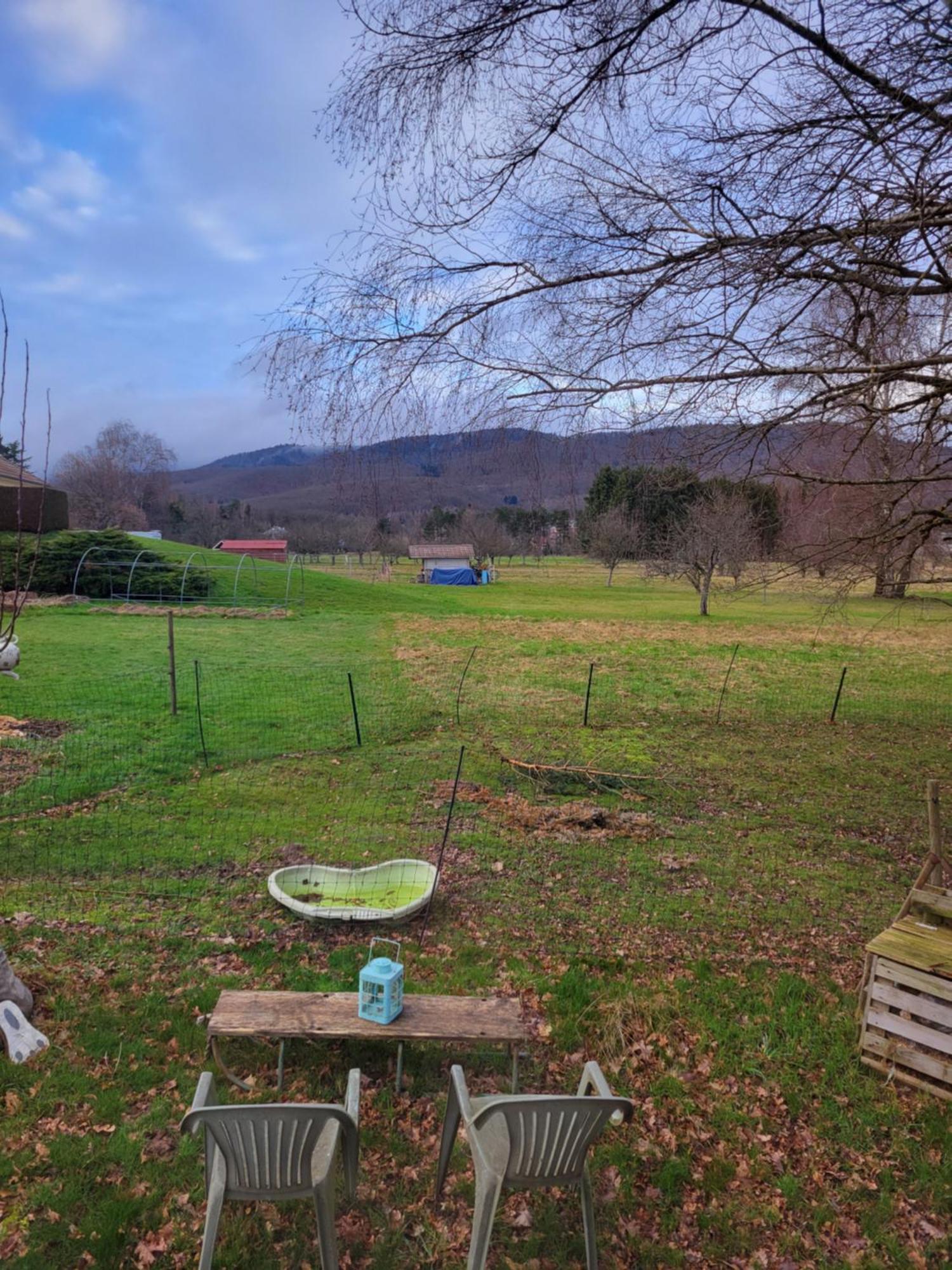 La Roulotte Tiny House Du Mond'Ideal Leval  Rum bild